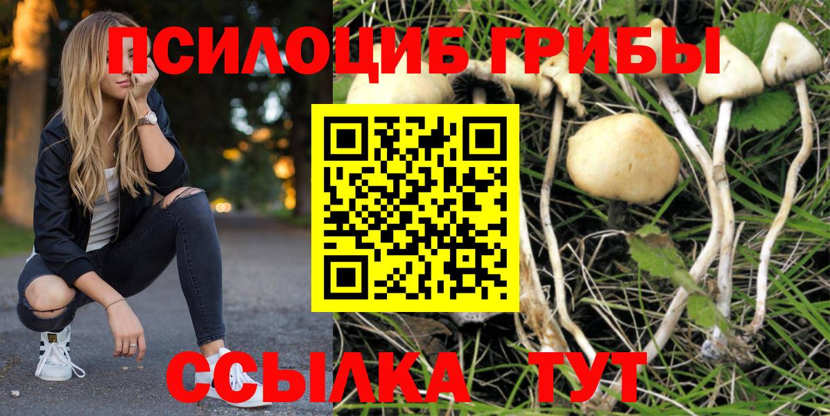 где можно купить   Псилоцибиновые грибы GOLDEN TEACHER  Вход с VPN  Углич 
