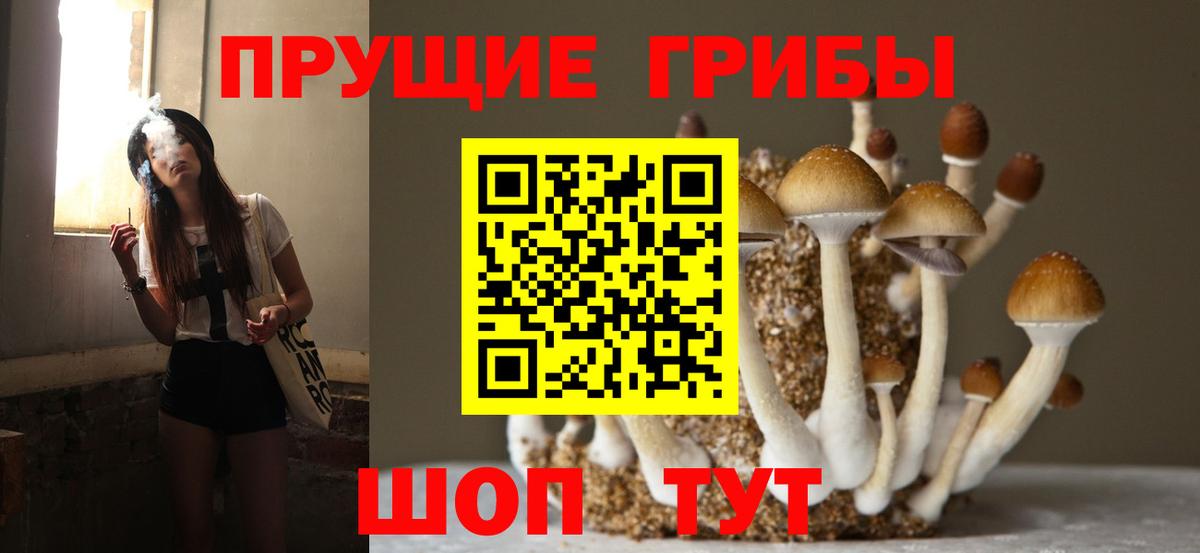 Галлюциногенные грибы Psilocybine cubensis Углич