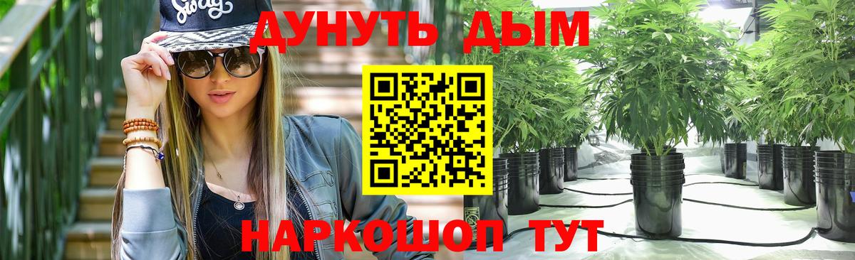 Шишки марихуана планчик  Каннабис гибрид  Углич  Шишки марихуана Ganja  Конопля MAZAR  Вход с VPN 